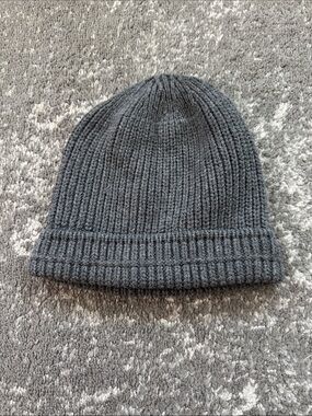 Everlane Charcoal Rib Knit Beanie